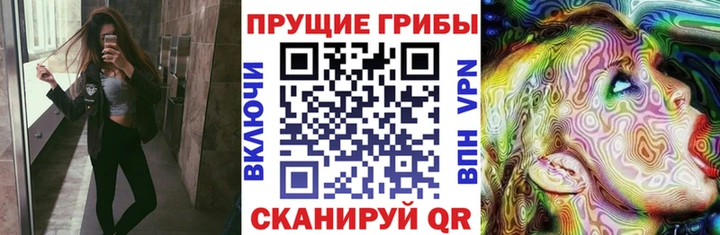 Галлюциногенные грибы Psilocybe  Абакан 