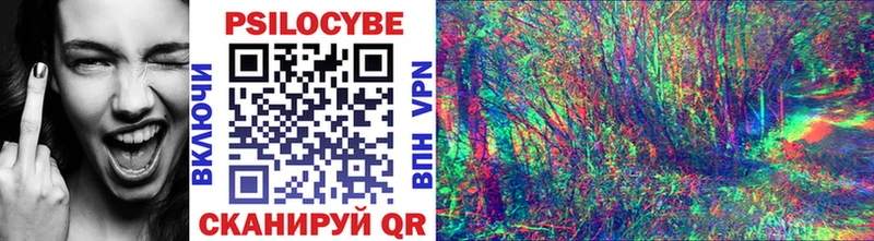 Псилоцибиновые грибы Psilocybine cubensis Абакан